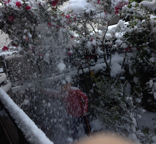 snow2014-1.jpg