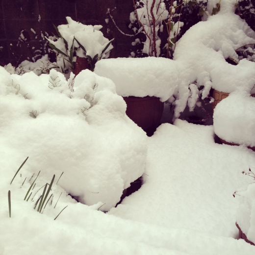 snow2014-3.jpg